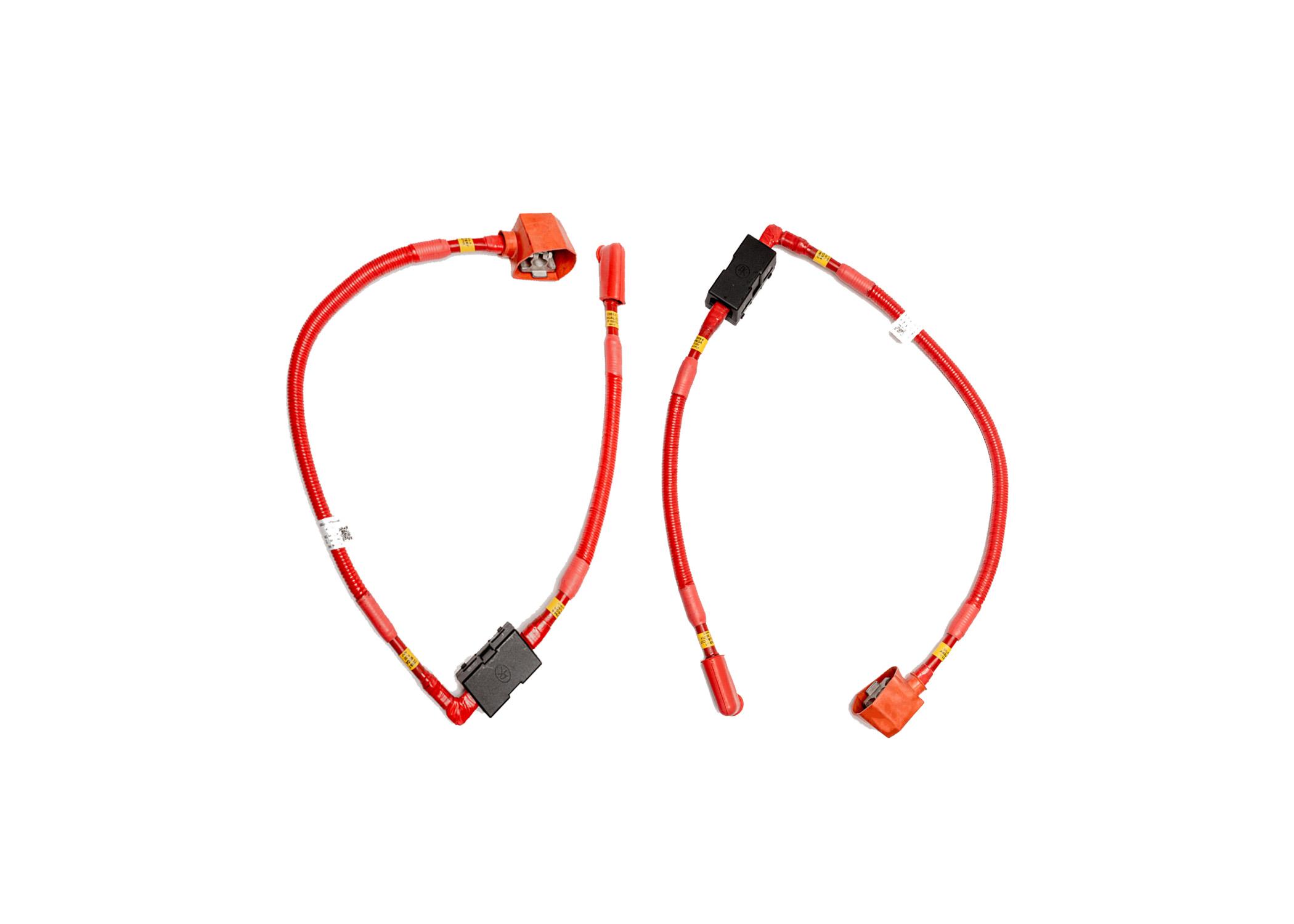 Battery Cable Assembly with Fuse